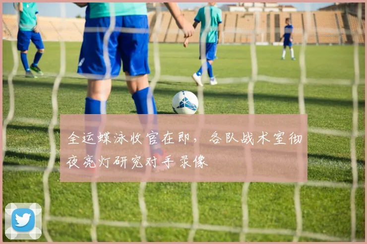 全运蝶泳收官在即，各队战术室彻夜亮灯研究对手录像