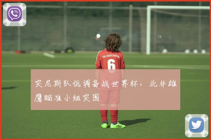 突尼斯队低调备战世界杯，北非雄鹰瞄准小组突围