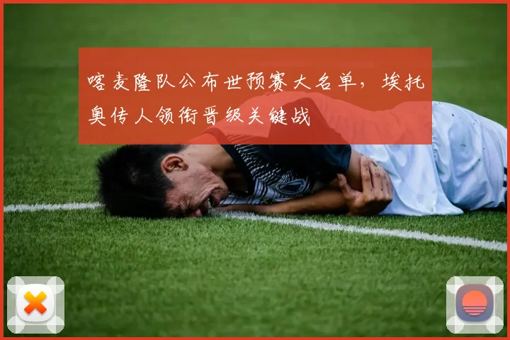 喀麦隆队公布世预赛大名单，埃托奥传人领衔晋级关键战