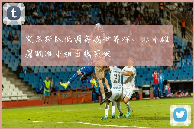 突尼斯队低调备战世界杯，北非雄鹰瞄准小组出线突破